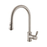 Kitchen Faucet - Liberty D