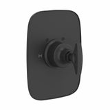 Graceline® 3/4" Thermostatic Trim Without Volume Control Mb2040ndm