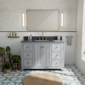 Vanuria 48 in. Vanity