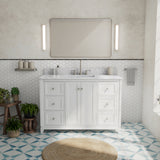 Vanuria 48 in. Vanity