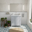 Vanuria 30 in. Vanity