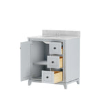 Vanuria 30 in. Vanity