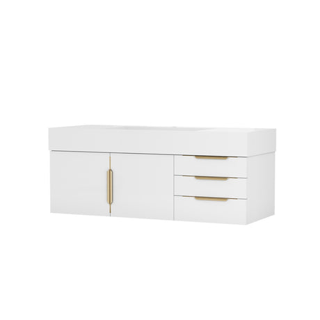 Zidea 48 in. Vanity