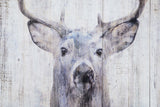 Gaze 24" W x 36" H x 2" D