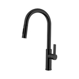 Kitchen Faucet - Mitu D30P-51