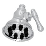 4" Multi-function Showerhead Wi0123