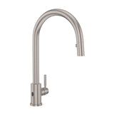 Holborn Pull-Down Touchless Kitchen Faucet