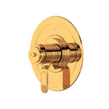 Armstrong 2-way Type T/P (thermostatic/pressure balance) coaxial patented trim