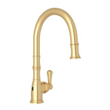 Georgian Era Pull-Down Touchless Kitchen Faucet