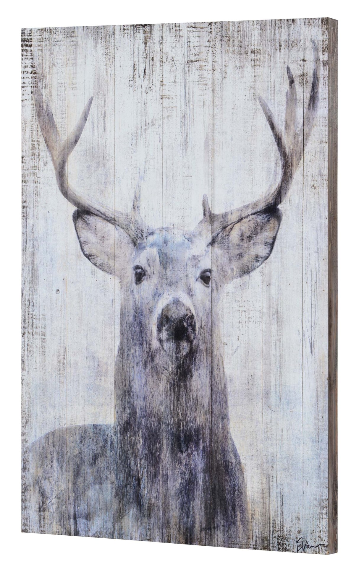 Gaze 24" W x 36" H x 2" D