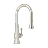 Patrizia™ Pull-down Bar/food Prep Kitchen Faucet A3420slm-2