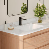 20.75" W x 15.5" D Porcelain Rectangular Undermount Bathroom Sink with Pop up Drain