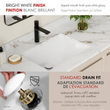 21.25" W x 14.5" D Porcelain Rectangular Undermount Bathroom Sink with Pop up Drain