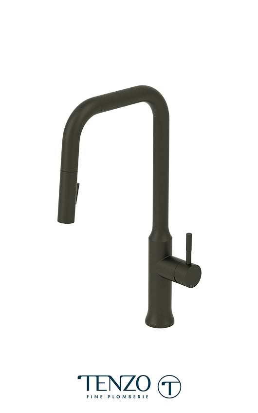 Single-handle kitchen faucet Regia with pull-down & 2-Function hand shower
