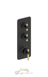 Extenza valve 2 fcts thermo Bellacio-F brushed gold