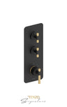 Extenza valve 2 fcts thermo Bellacio-F brushed gold