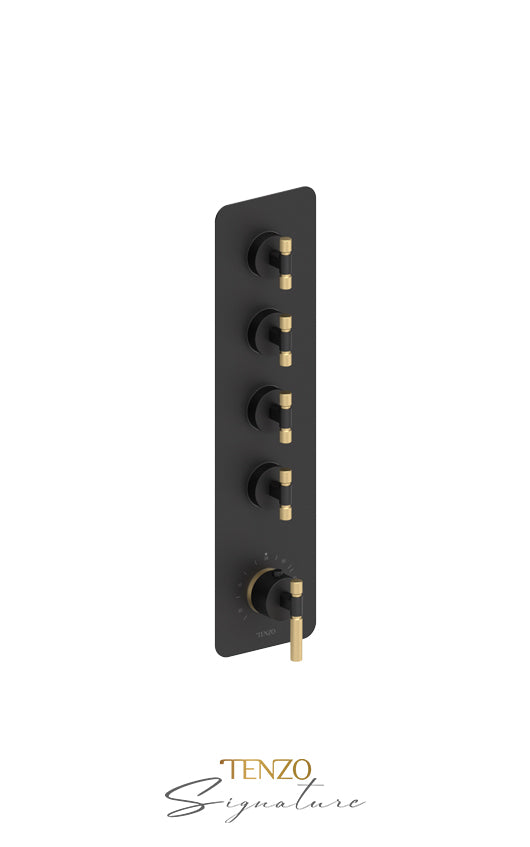 Extenza valve 4 fcts thermo Bellacio-F brushed gold