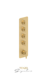 Extenza valve 4 fcts thermo Bellacio-F brushed gold