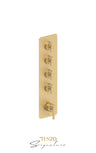 Extenza valve 4 fcts thermo Bellacio-F brushed gold