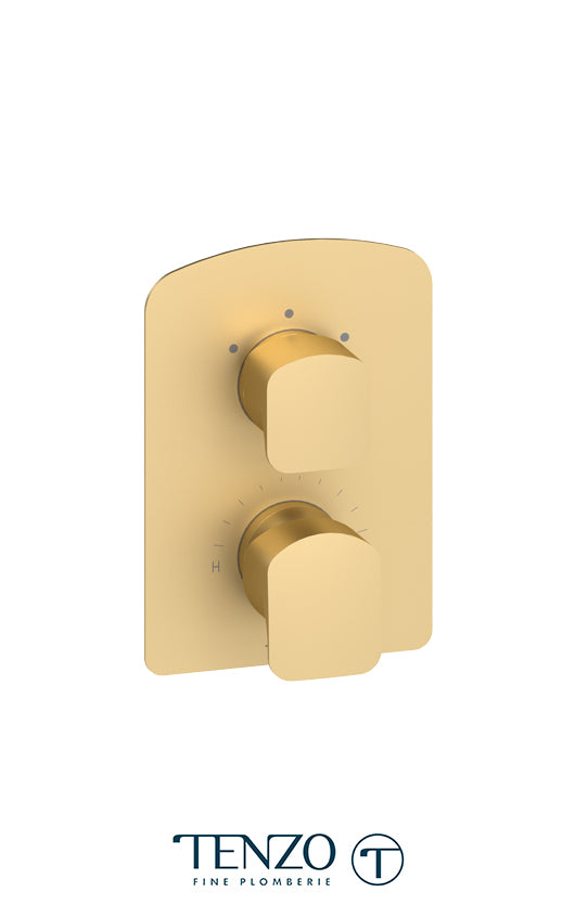 Delano T-Box valve 2 functions pres bal