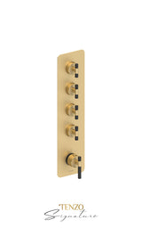 Extenza valve 4 fcts thermo Bellacio-C brushed gold