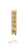Extenza valve 4 fcts thermo Bellacio-C brushed gold