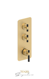 Extenza valve 2 fcts thermo Bellacio-C brushed gold