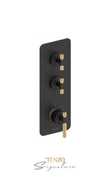 Extenza valve 2 fcts thermo Bellacio-C brushed gold