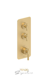 Extenza valve 2 fcts thermo Bellacio-C brushed gold
