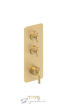 Extenza valve 2 fcts thermo Bellacio-C brushed gold