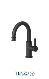 Alyss single hole lavatory faucet