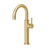 Alyss single hole tall lavatory faucet