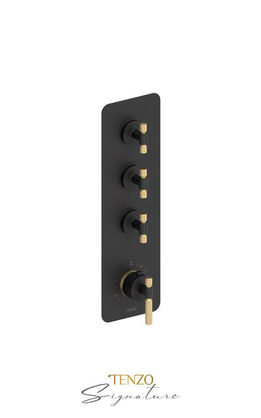 Extenza valve 3 fcts thermo Bellacio-F brushed gold