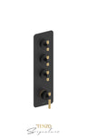 Extenza valve 3 fcts thermo Bellacio-C brushed gold