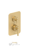 T-Box valve 2 fcts thermo Bellacio-F brushed gold