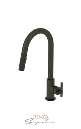 Single-handle kitchen faucet Bellacio with pull-down & 2-Function hand shower