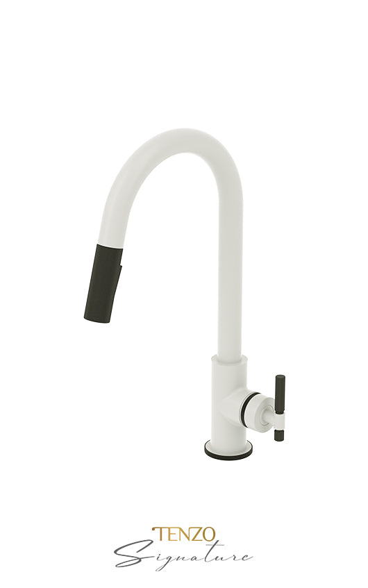 Single-handle kitchen faucet Bellacio with pull-down & 2-Function hand shower