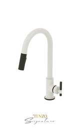 Single-handle kitchen faucet Bellacio with pull-down & 2-Function hand shower