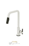 Single-handle kitchen faucet Bellacio with pull-down & 2-Function hand shower