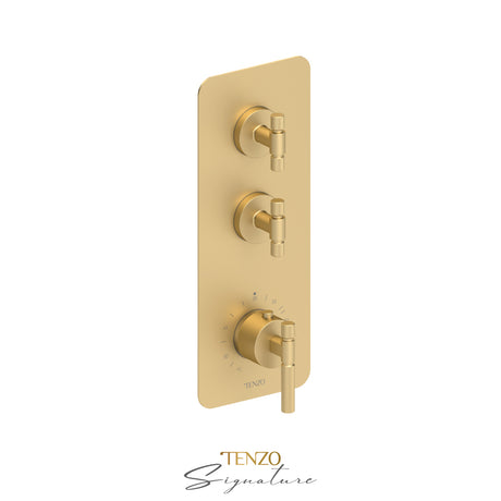 Trim for Extenza valve 2 fcts thermo Bellacio-F brushed gold