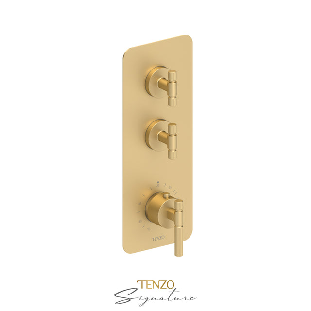 Trim for Extenza valve 2 fcts thermo Bellacio-F brushed gold
