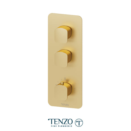 Extenza valve trims Delano thermo. 2 functions