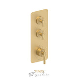 Trim for Extenza valve 2 fcts thermo Bellacio-C brushed gold