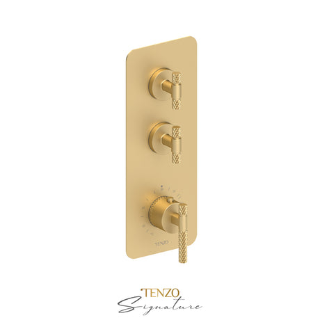 Trim for Extenza valve 2 fcts thermo Bellacio-C brushed gold