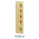 Extenza valve trims Delano thermo. 4 functions