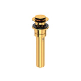 Push Drain With Overflow
