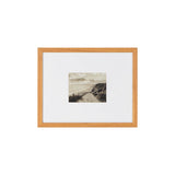 TORREYS 20/20/20/24" W x 16/16/26/24" H x 1.2" D