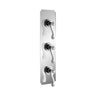 3/4 Thermostatic Valve 2 Shut Offs - Classic R9536L