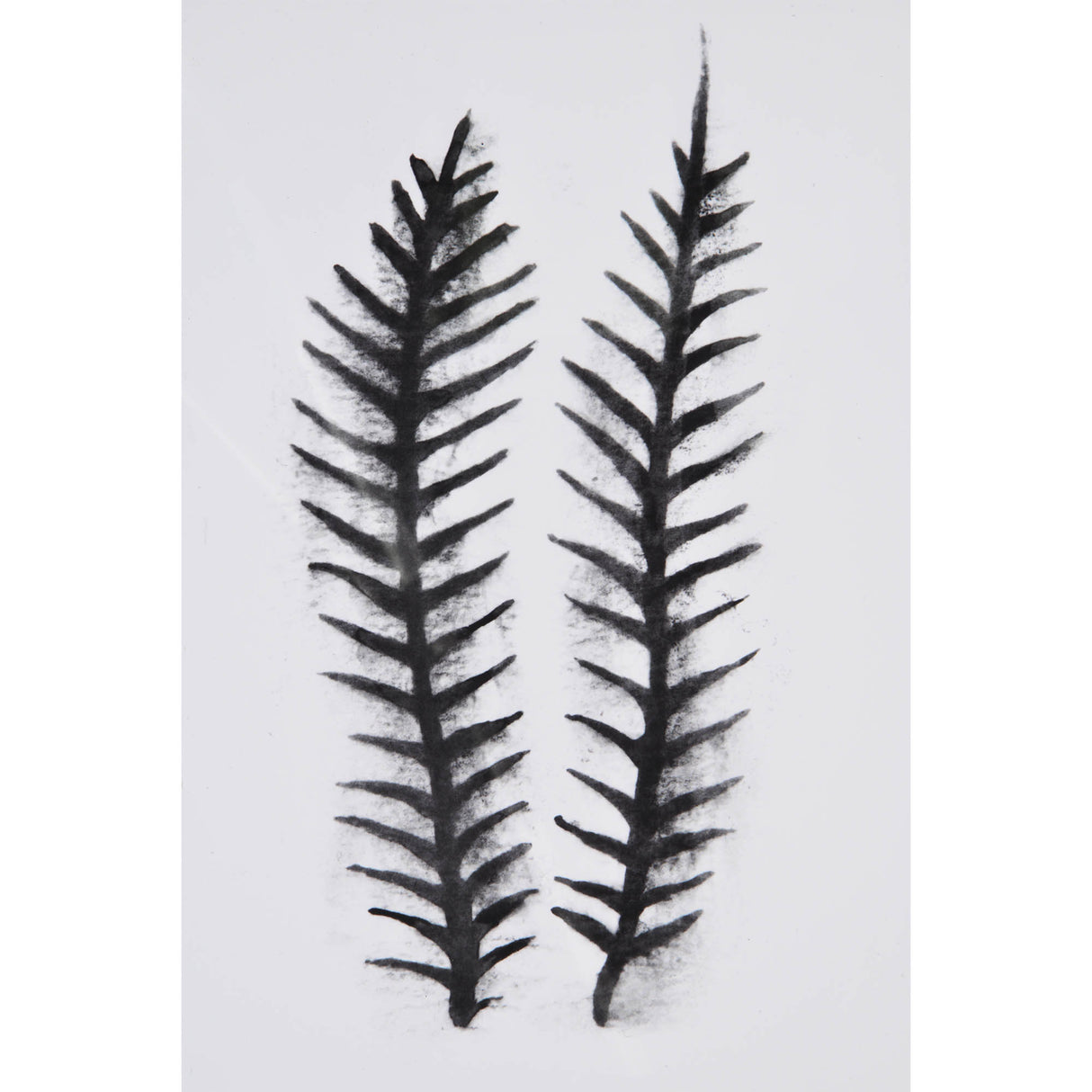 ELMDALE 18" W x 24" H x 1" D