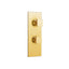 Aquabrass Square 2-Way Thermostatic Shower Trim, Chrome - image 4